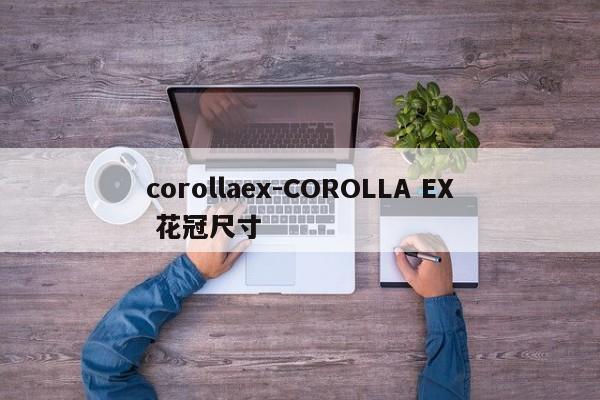 corollaex-COROLLA EX 花冠尺寸